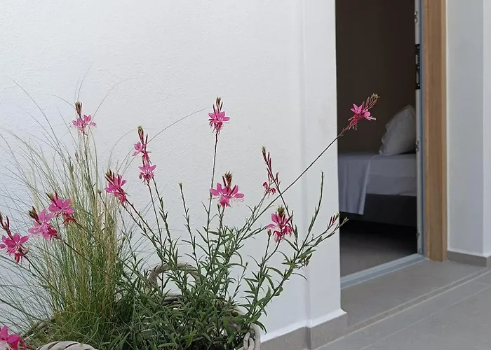 Апарт-отель Petra